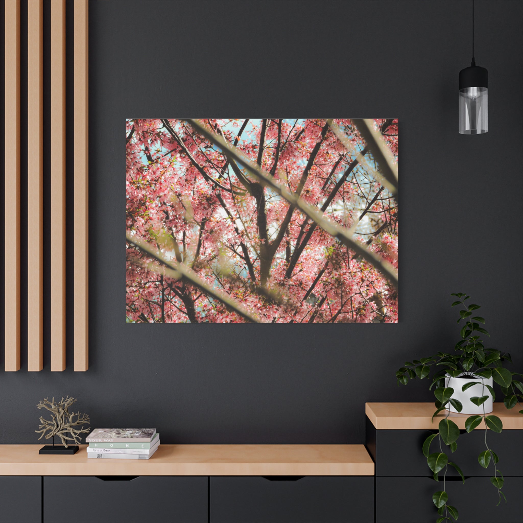 Cherry Blossom Photo Canvas Print | Brookline Spring Wall Art | A‑G Originals