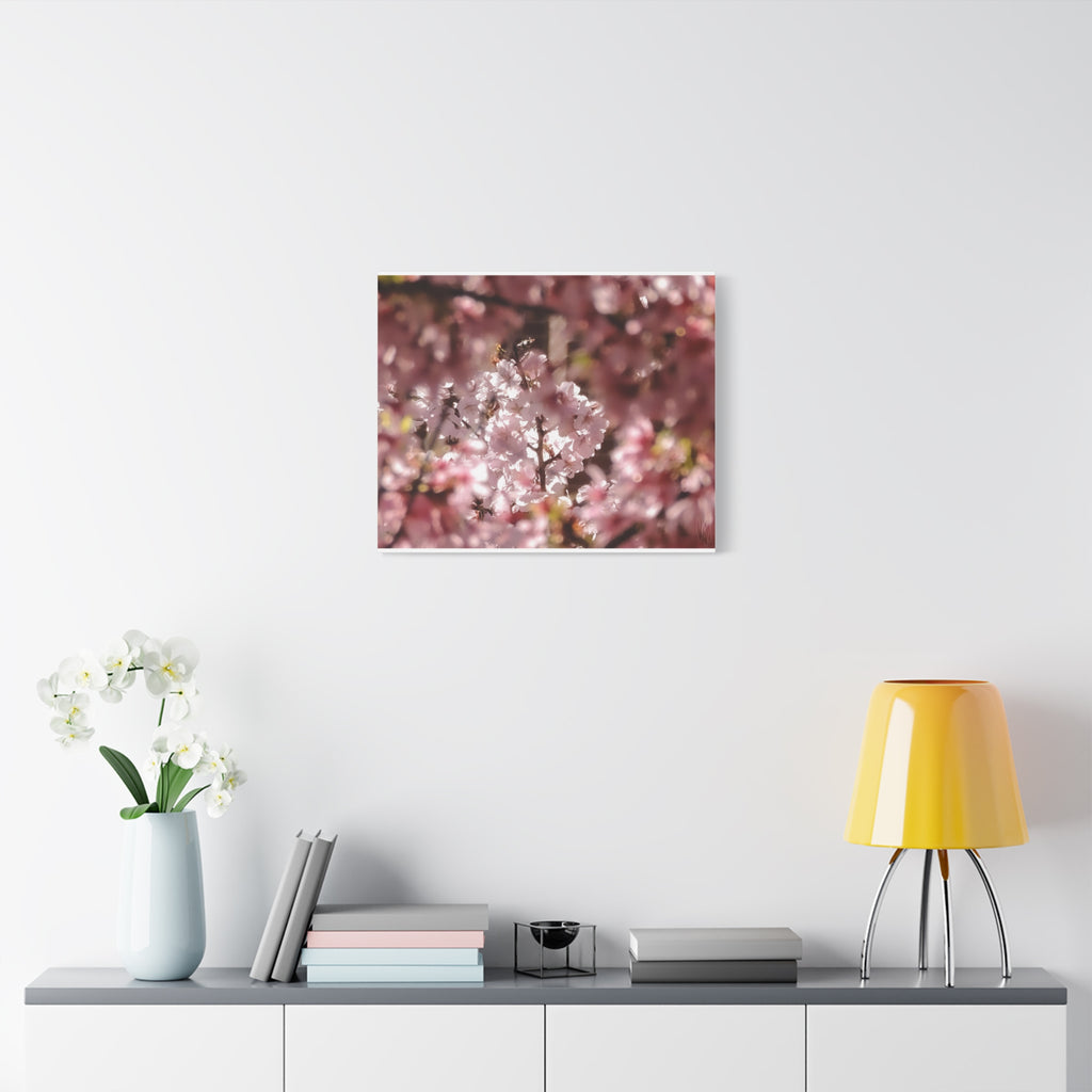 Blush Cherry Blossom Matte Canvas Print — Spring Floral Wall Art (Stretched 1.25")
