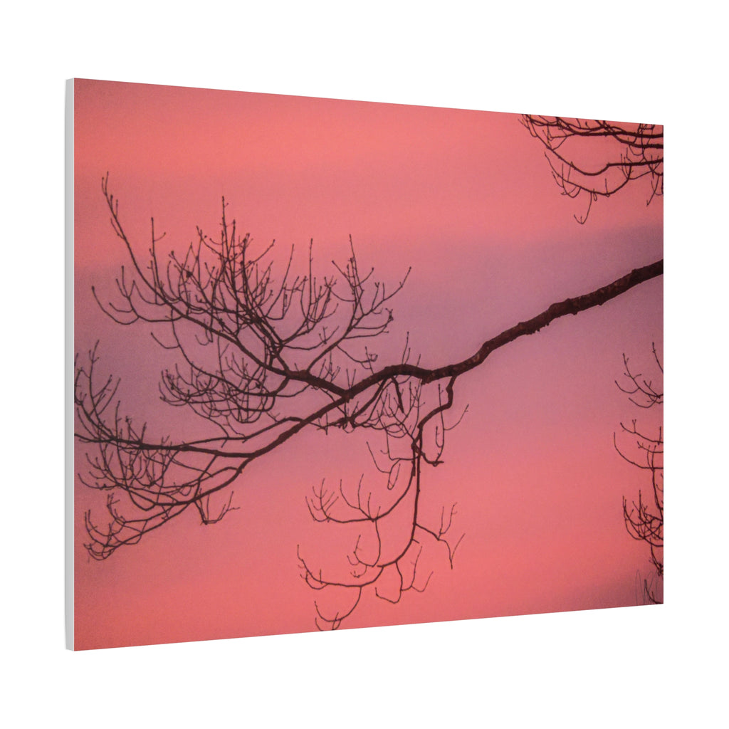 Pink Sunset Tree Canvas Print — Matte Stretched Wall Art