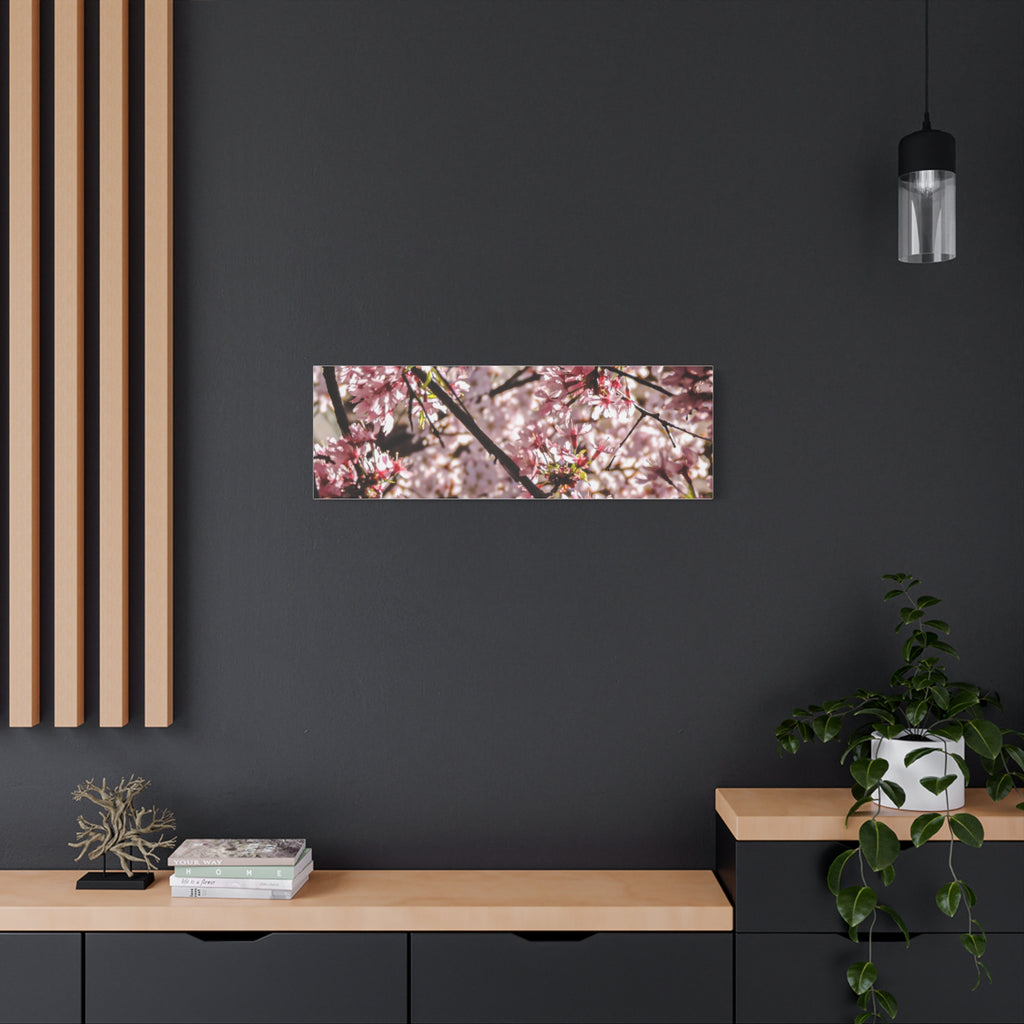 Blossom Cherry Tree Canvas Print – Matte Stretched Wall Art