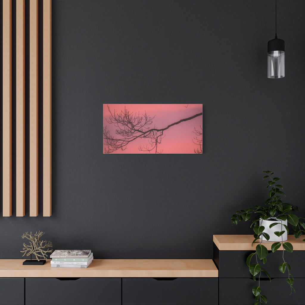 Pink Sunset Tree Canvas Print — Matte Stretched Wall Art