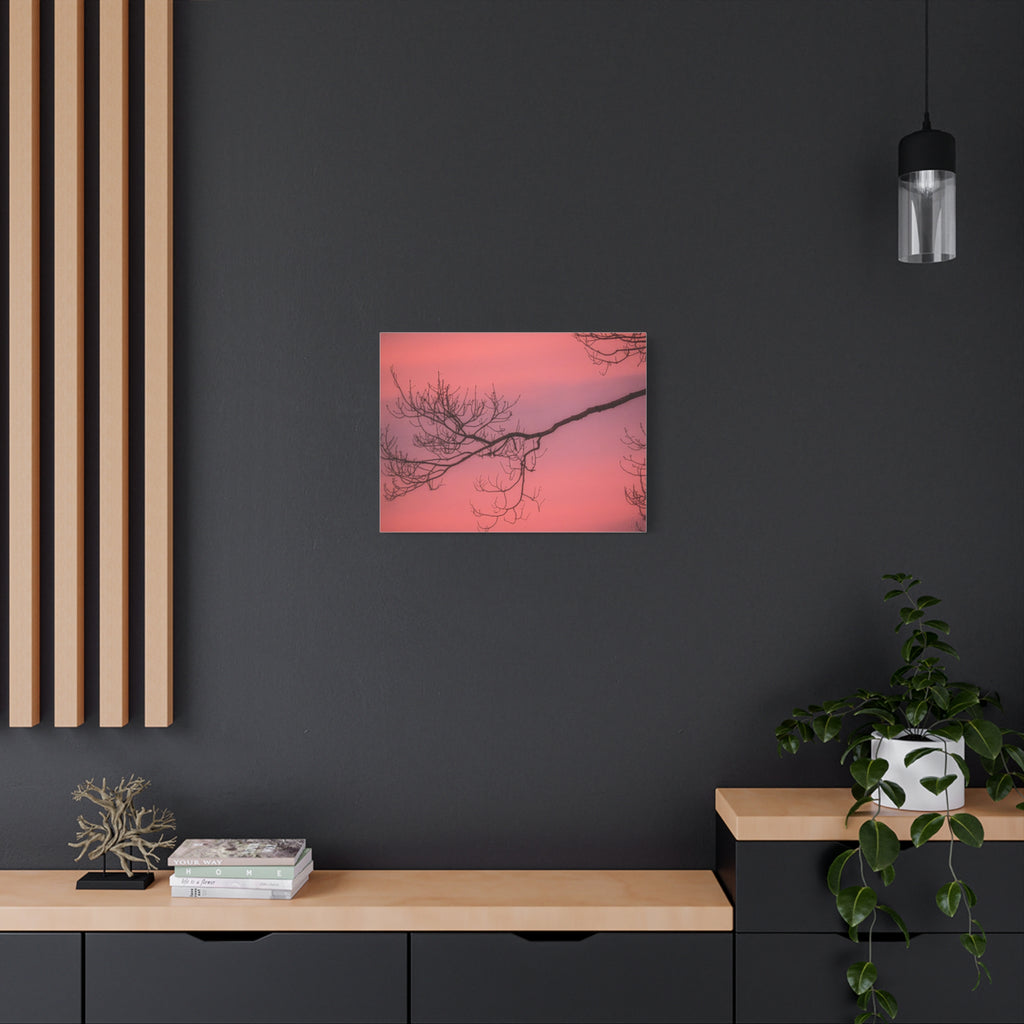 Pink Sunset Tree Canvas Print — Matte Stretched Wall Art