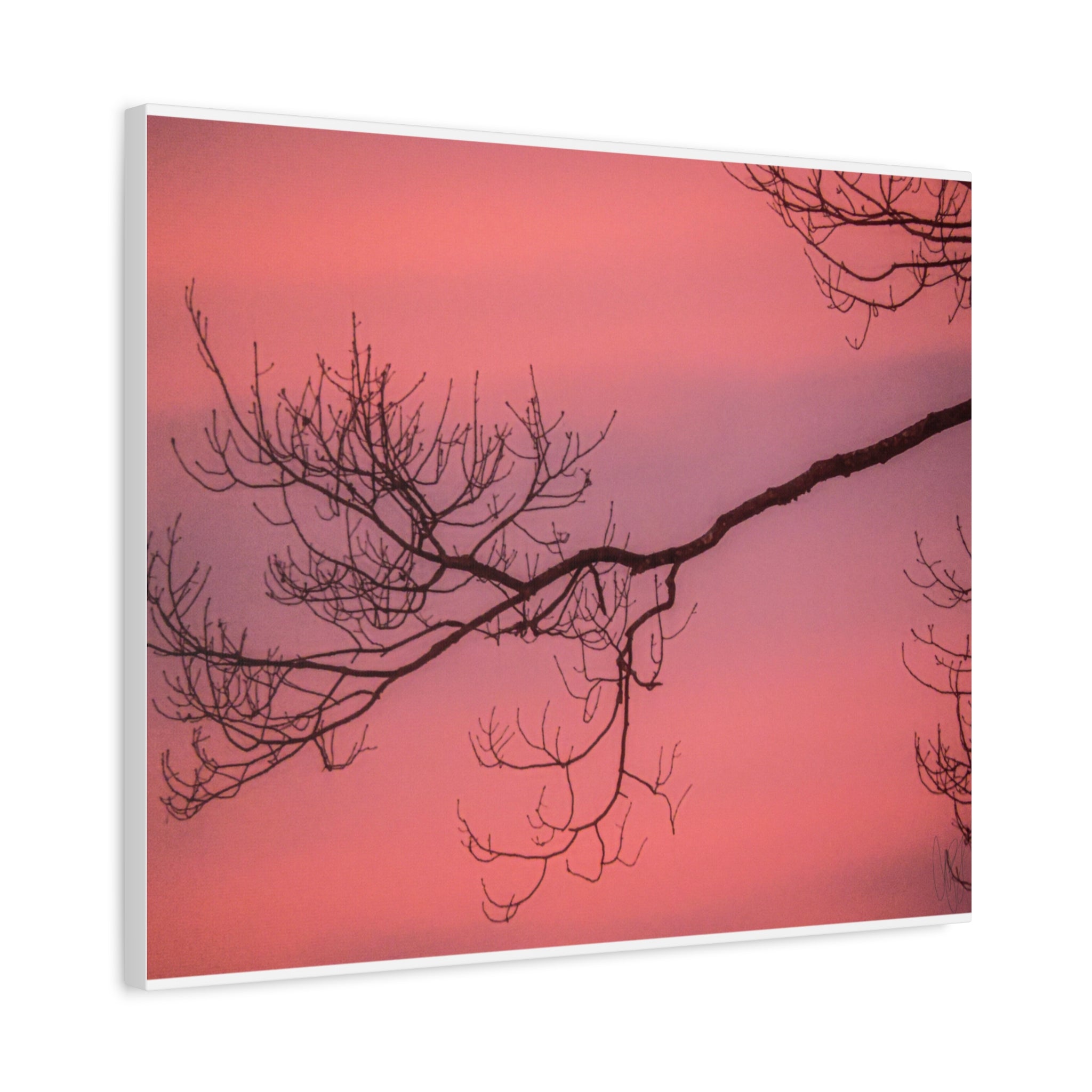 Pink Sunset Tree Canvas Print — Matte Stretched Wall Art