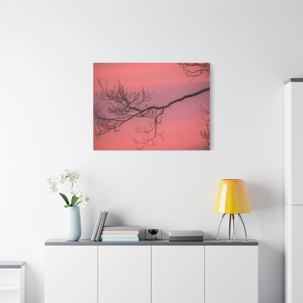 Pink Sunset Tree Canvas Print — Matte Stretched Wall Art