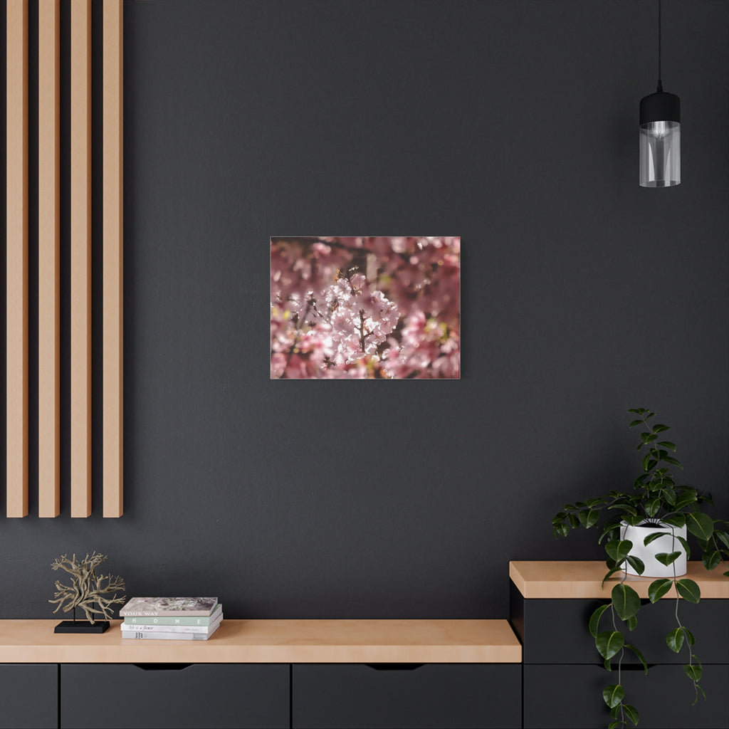 Blush Cherry Blossom Matte Canvas Print — Spring Floral Wall Art (Stretched 1.25")