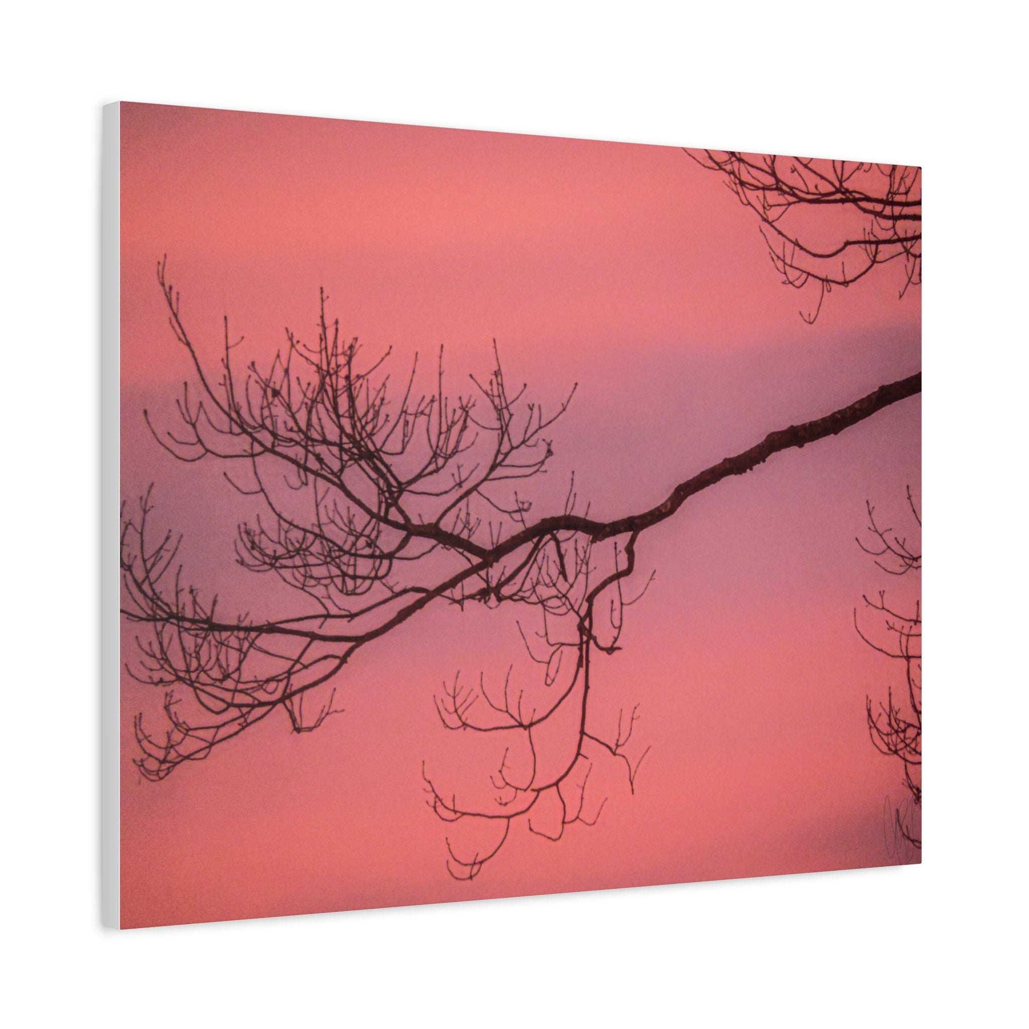 Pink Sunset Tree Canvas Print — Matte Stretched Wall Art