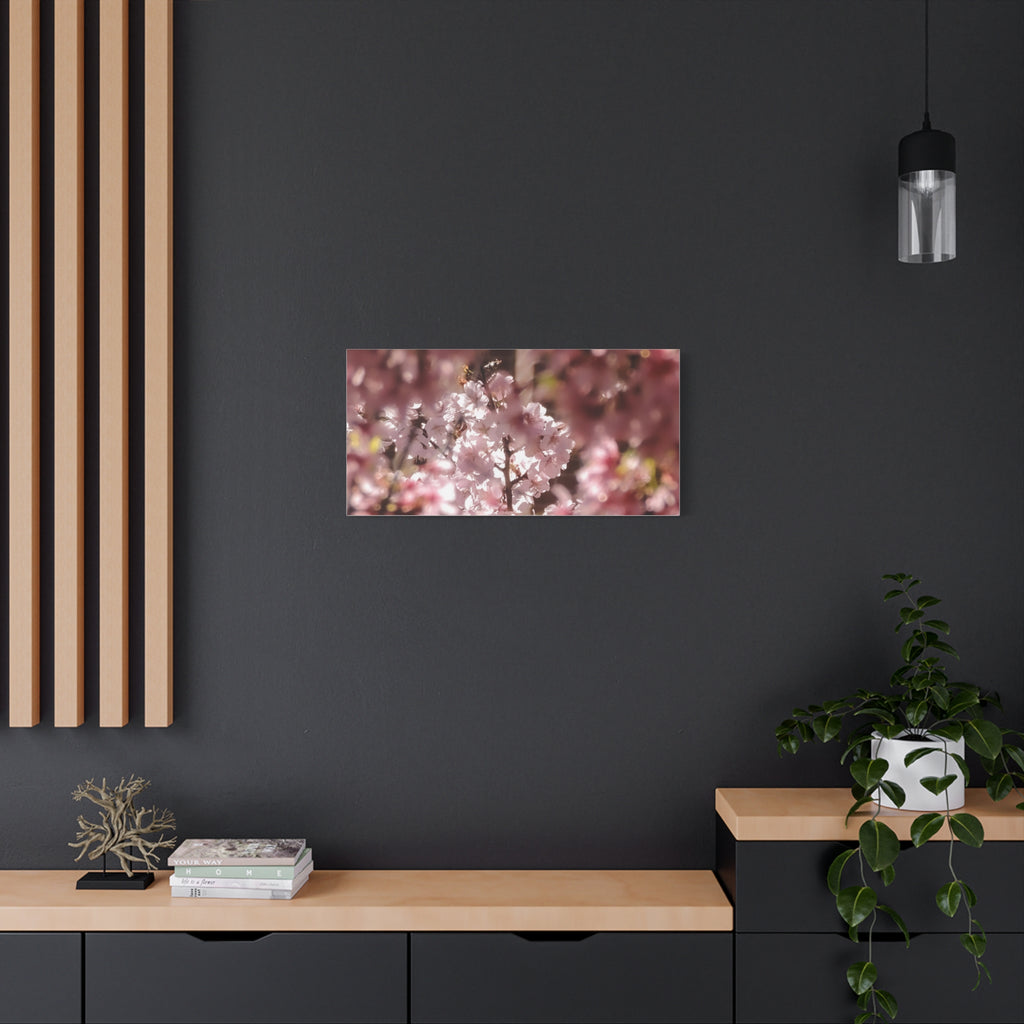 Blush Cherry Blossom Matte Canvas Print — Spring Floral Wall Art (Stretched 1.25")