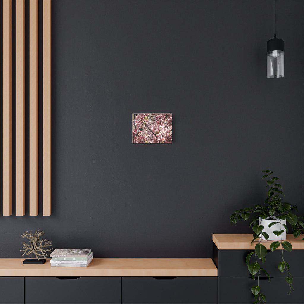 Blossom Cherry Tree Canvas Print – Matte Stretched Wall Art