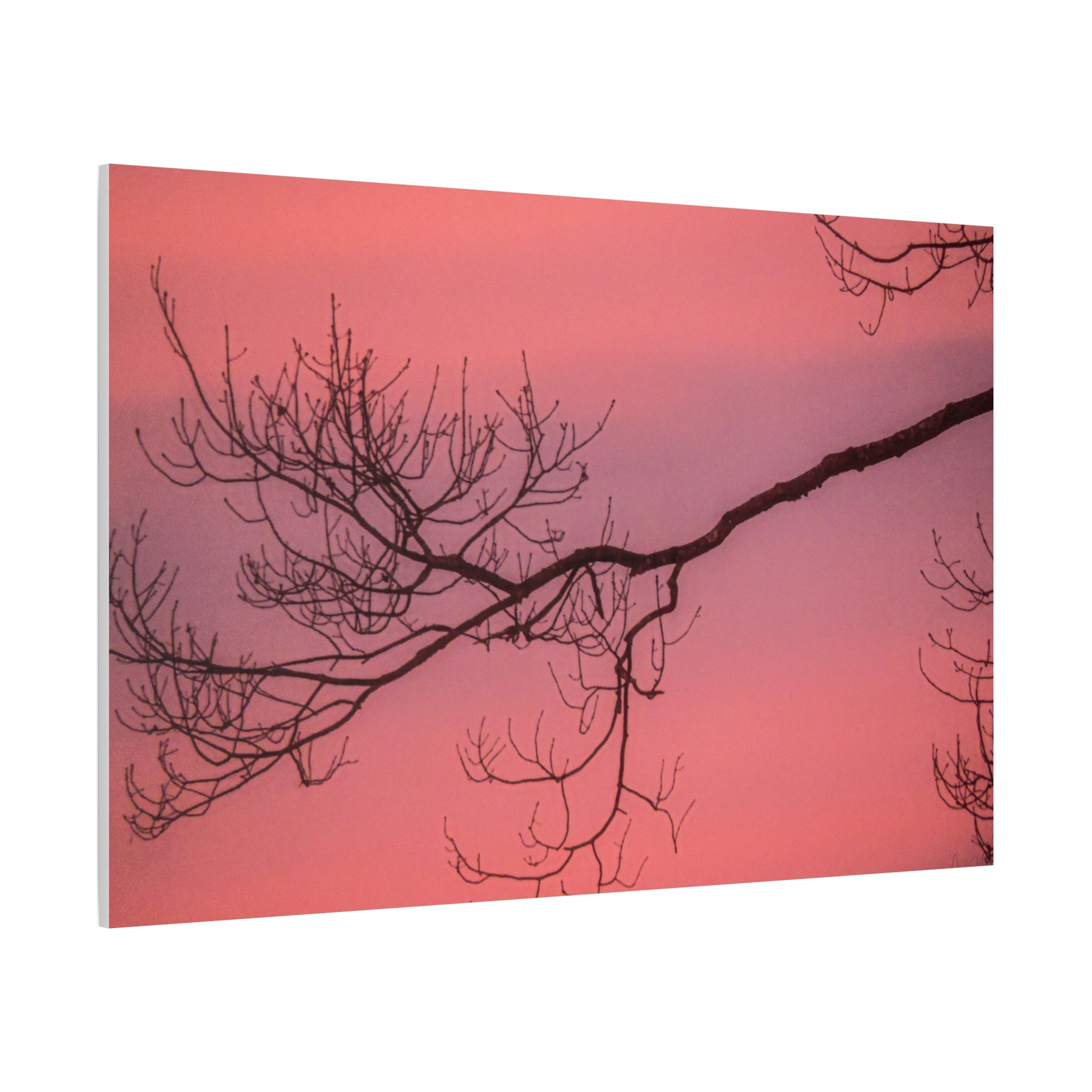 Pink Sunset Tree Canvas Print — Matte Stretched Wall Art