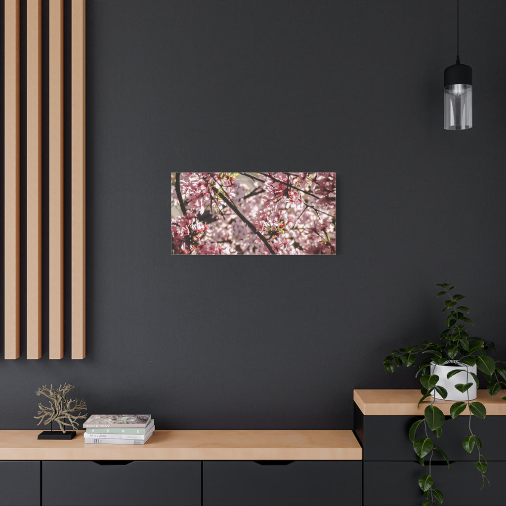 Blossom Cherry Tree Canvas Print – Matte Stretched Wall Art