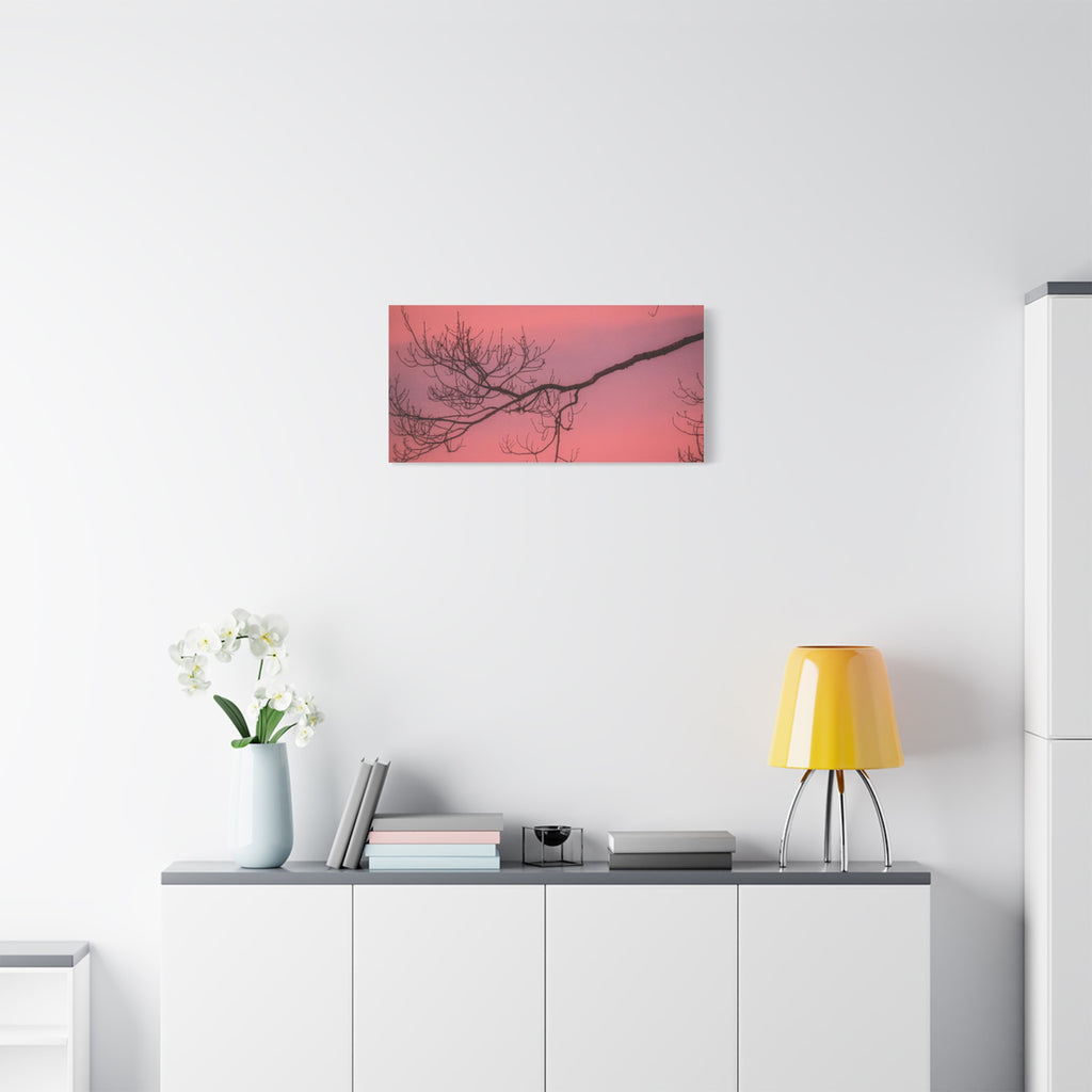 Pink Sunset Tree Canvas Print — Matte Stretched Wall Art