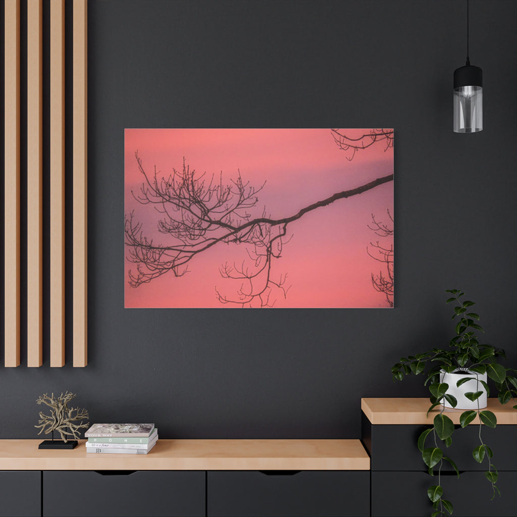 Pink Sunset Tree Canvas Print — Matte Stretched Wall Art