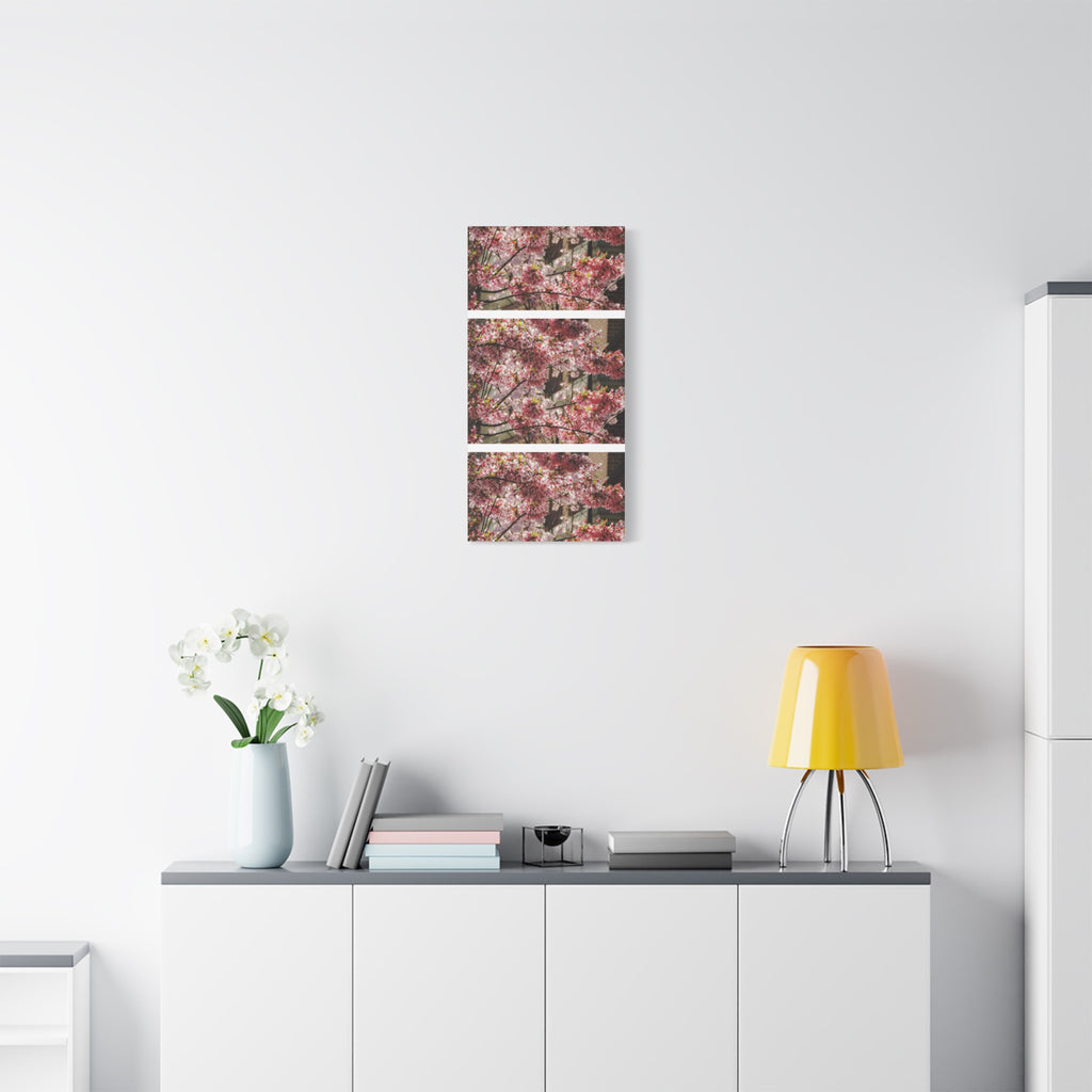 Pink Cherry Blossom Canvas Wall Art — Stretched Matte Floral Print