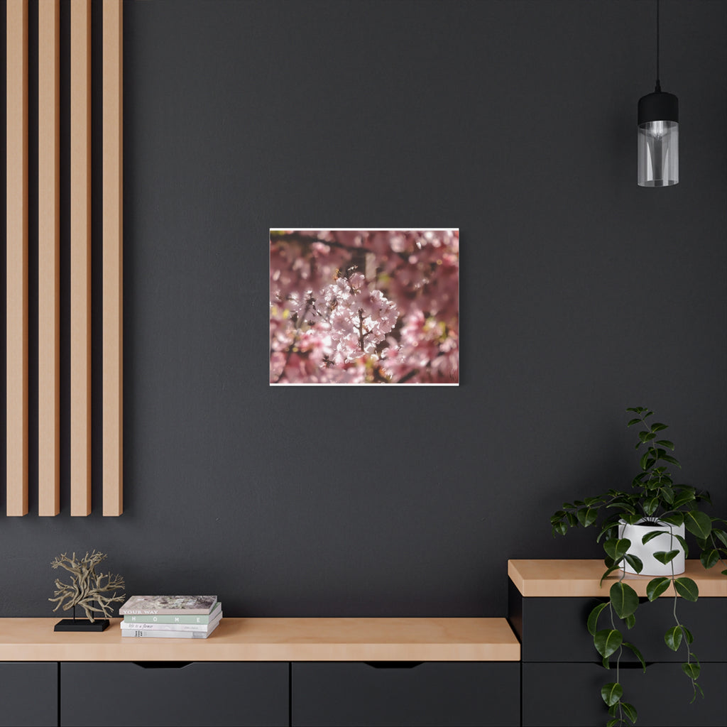 Blush Cherry Blossom Matte Canvas Print — Spring Floral Wall Art (Stretched 1.25")