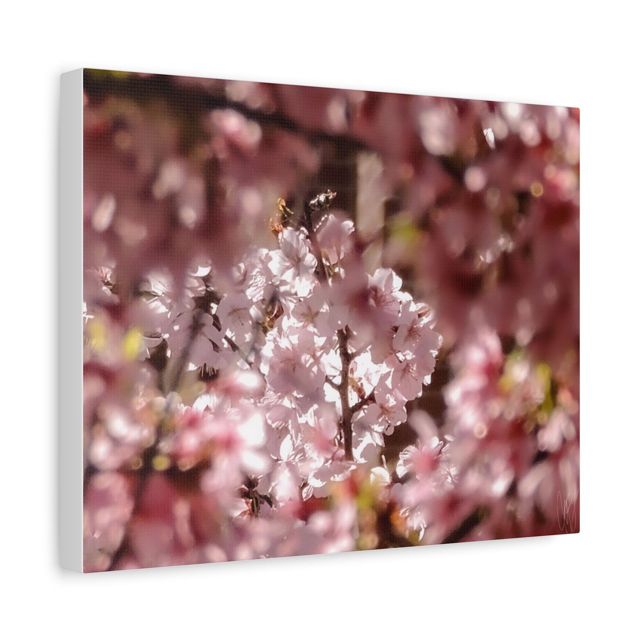 Blush Cherry Blossom Matte Canvas Print — Spring Floral Wall Art (Stretched 1.25")