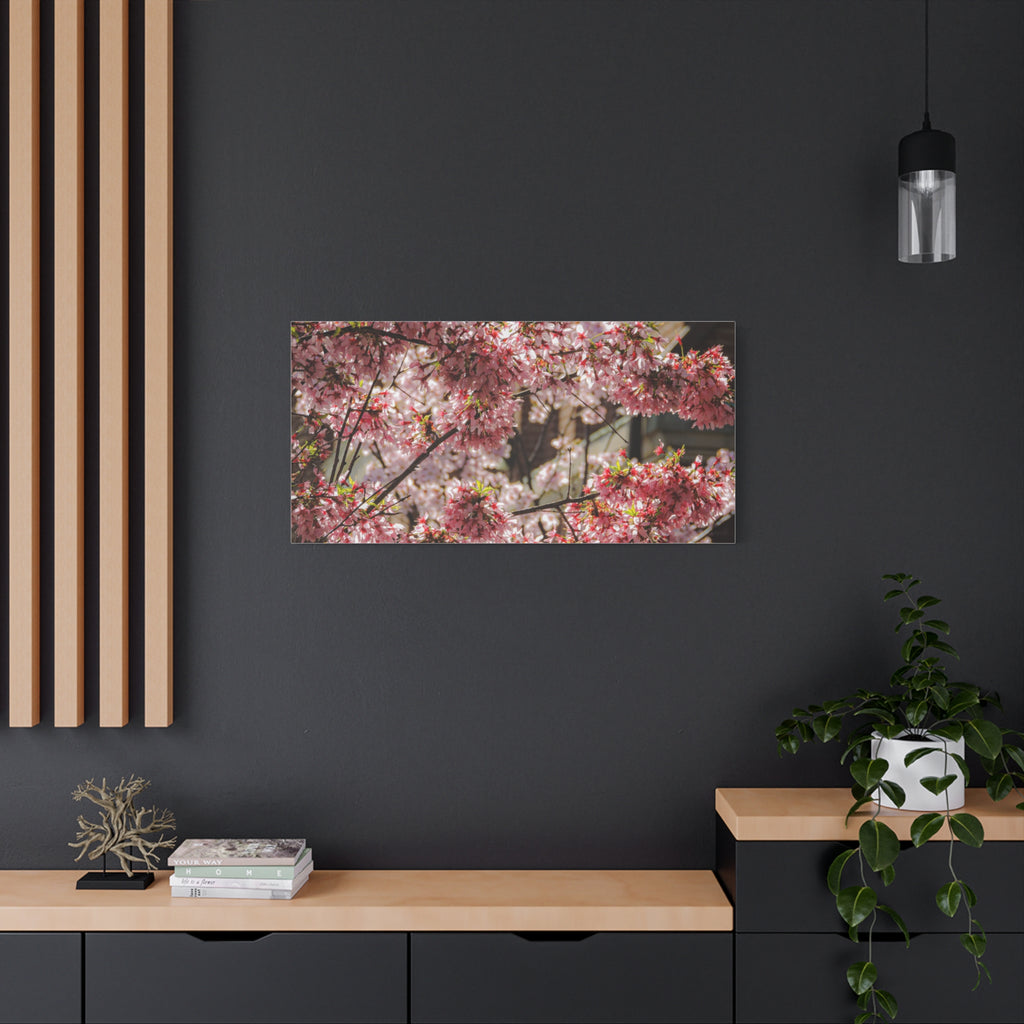 Pink Cherry Blossom Canvas Wall Art — Stretched Matte Floral Print