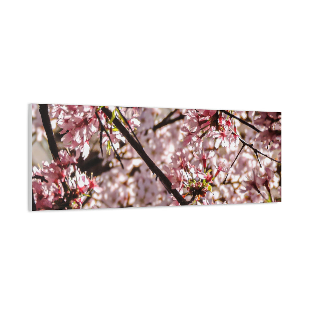 Blossom Cherry Tree Canvas Print – Matte Stretched Wall Art