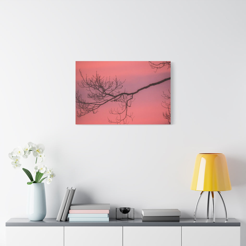 Pink Sunset Tree Canvas Print — Matte Stretched Wall Art