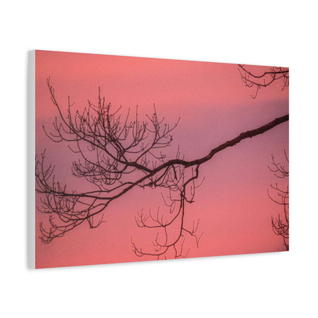 Pink Sunset Tree Canvas Print — Matte Stretched Wall Art