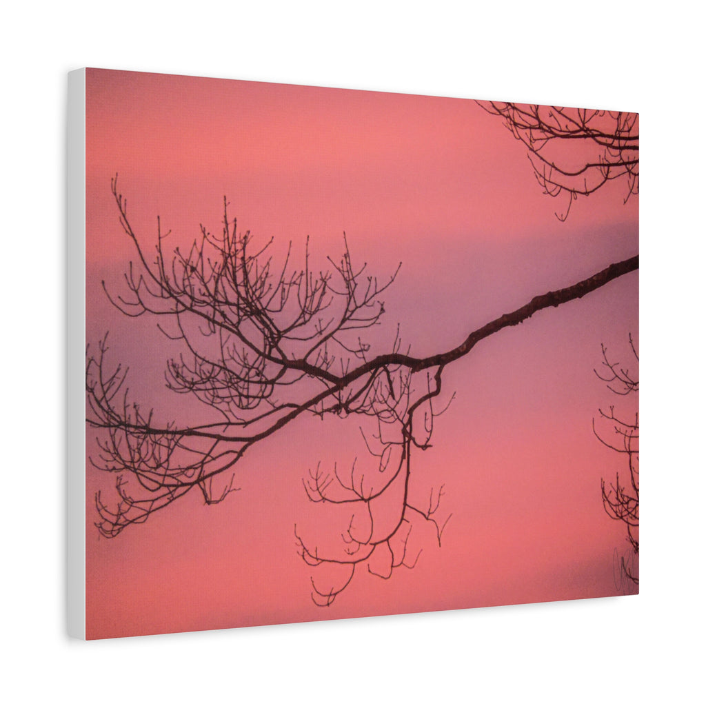Pink Sunset Tree Canvas Print — Matte Stretched Wall Art