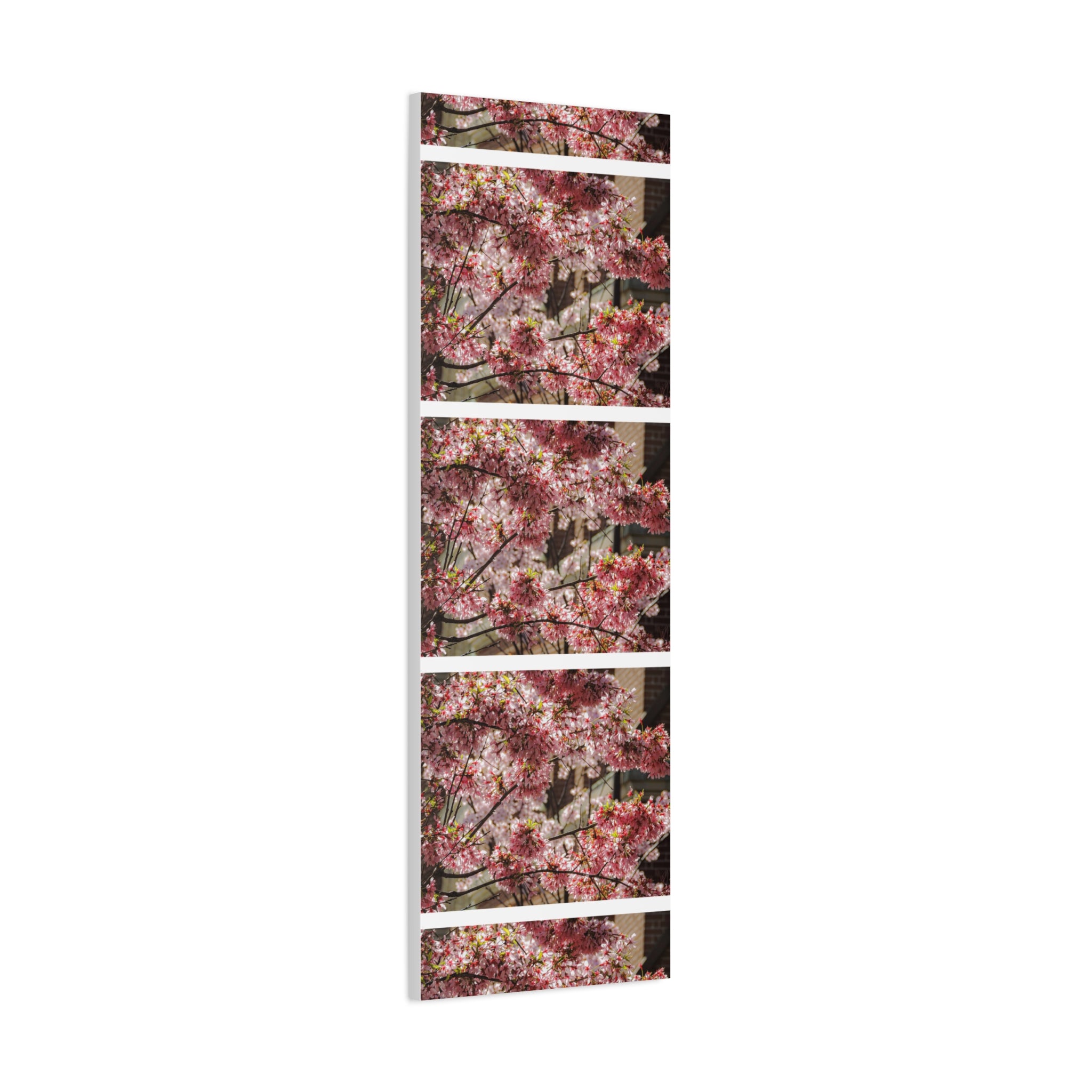 Pink Cherry Blossom Canvas Wall Art — Stretched Matte Floral Print