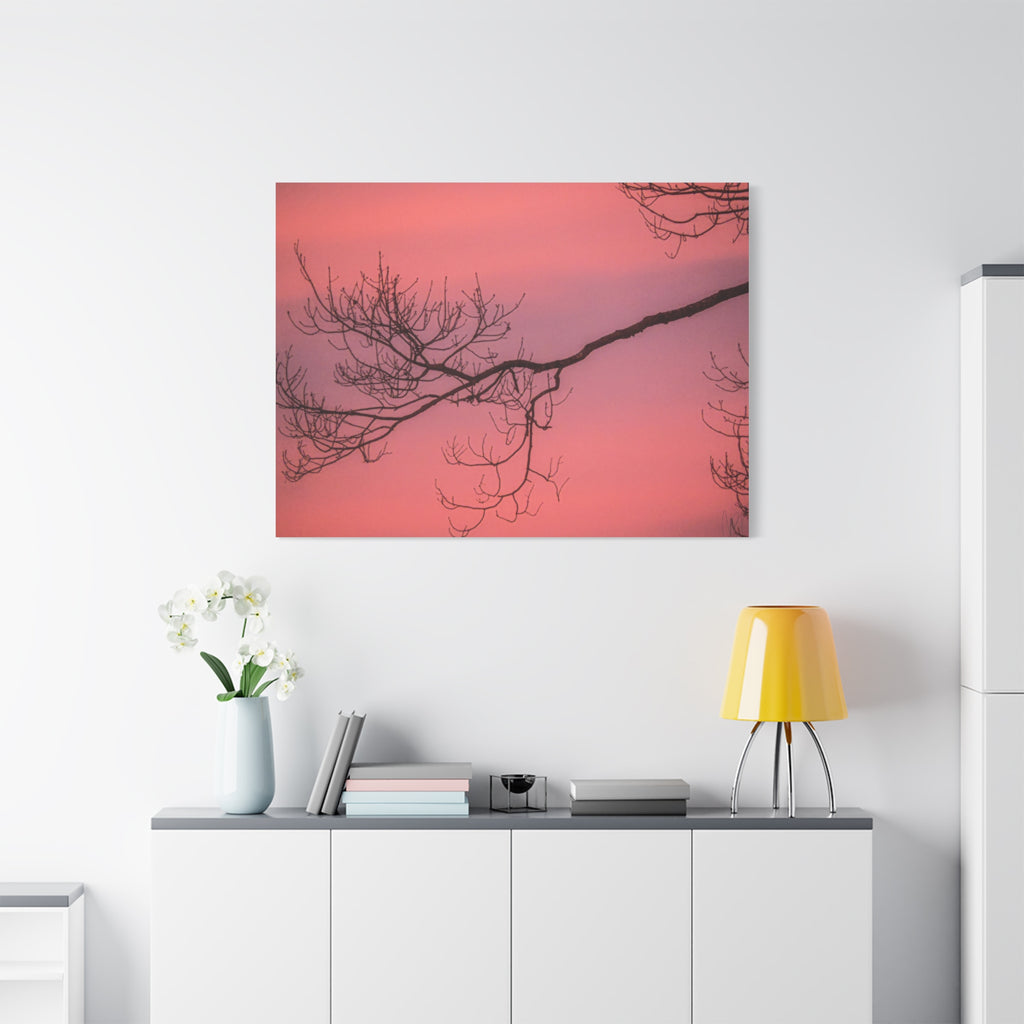Pink Sunset Tree Canvas Print — Matte Stretched Wall Art