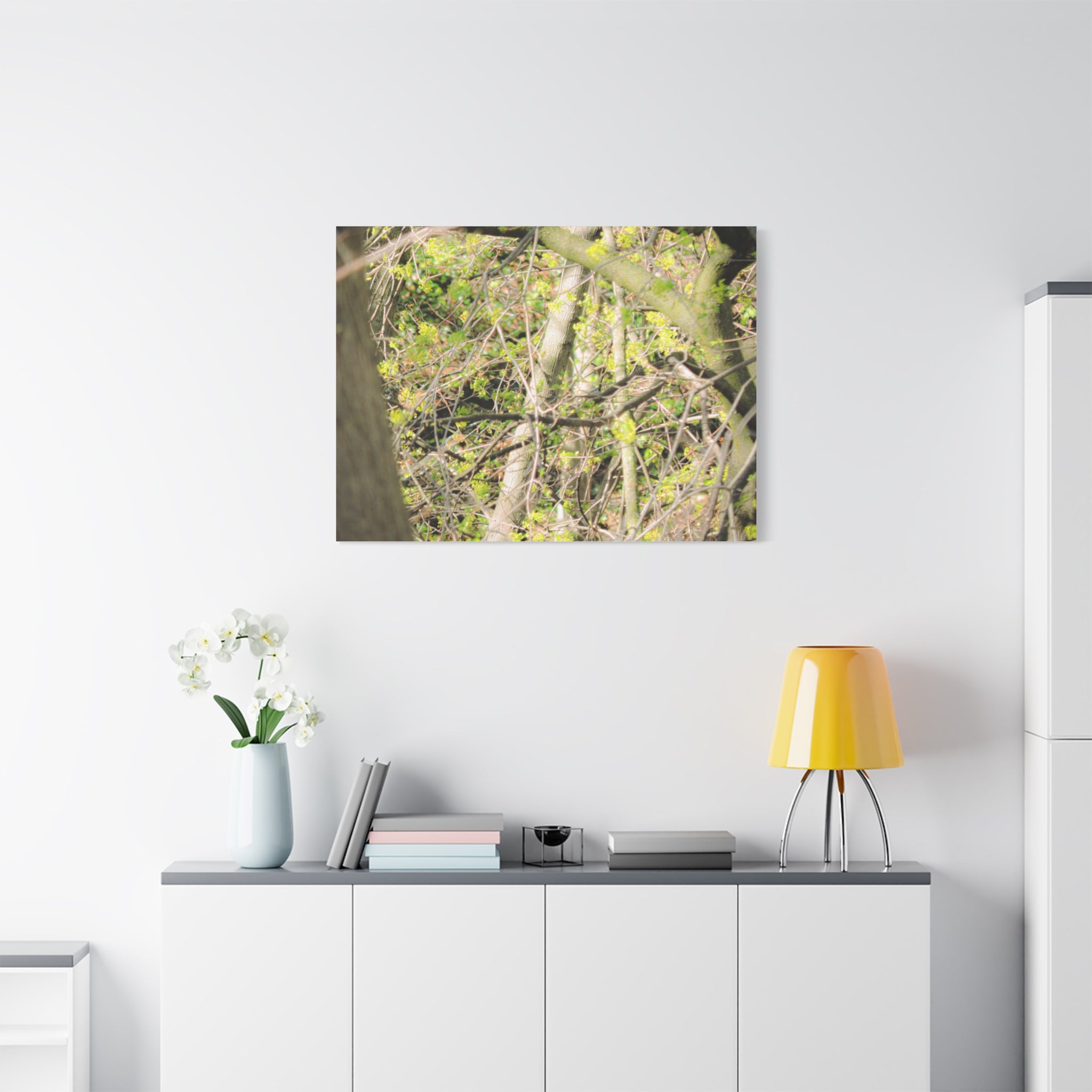 Spring Woodland Canvas Print — Green Tree Branches Matte Stretched Wall Art