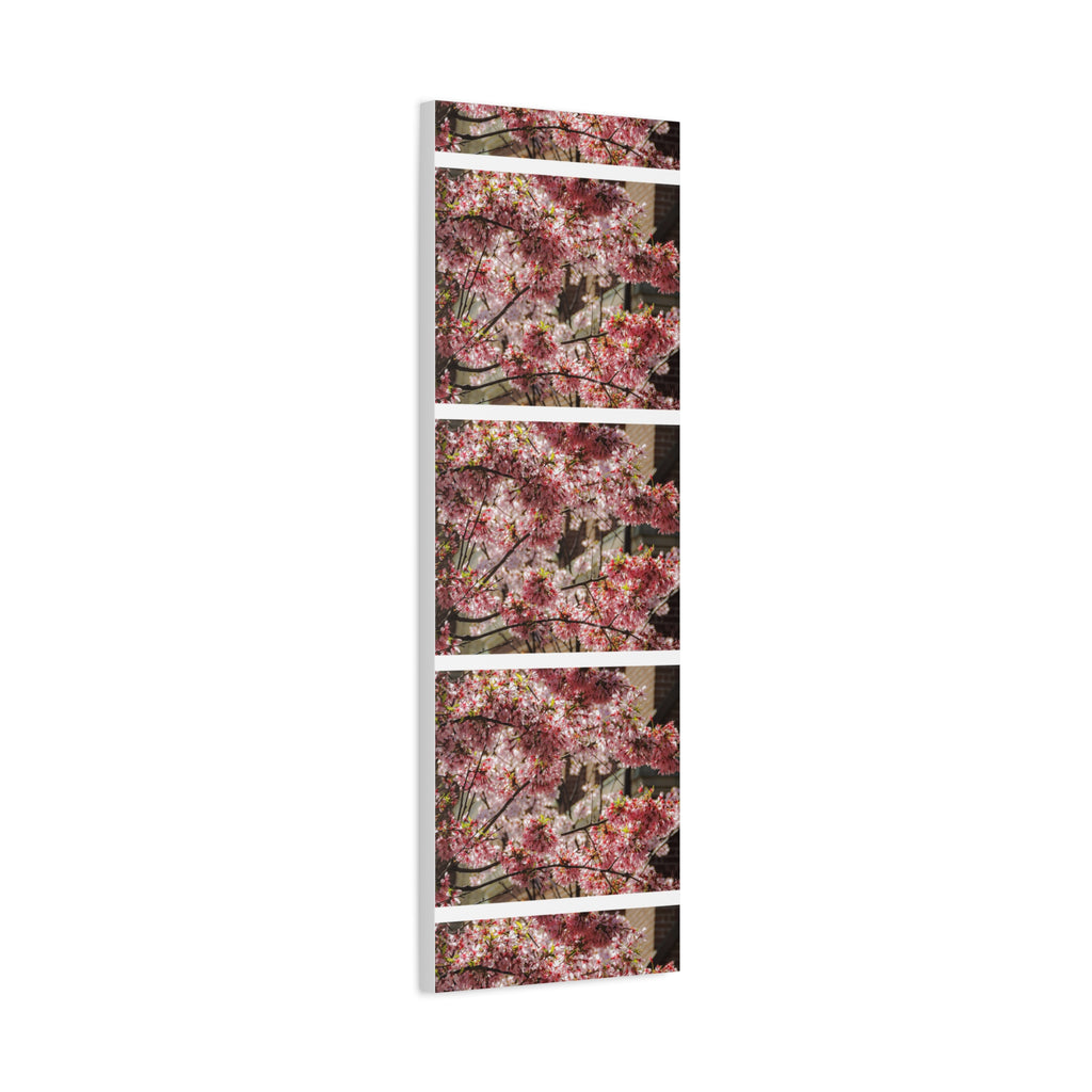Pink Cherry Blossom Canvas Wall Art — Stretched Matte Floral Print