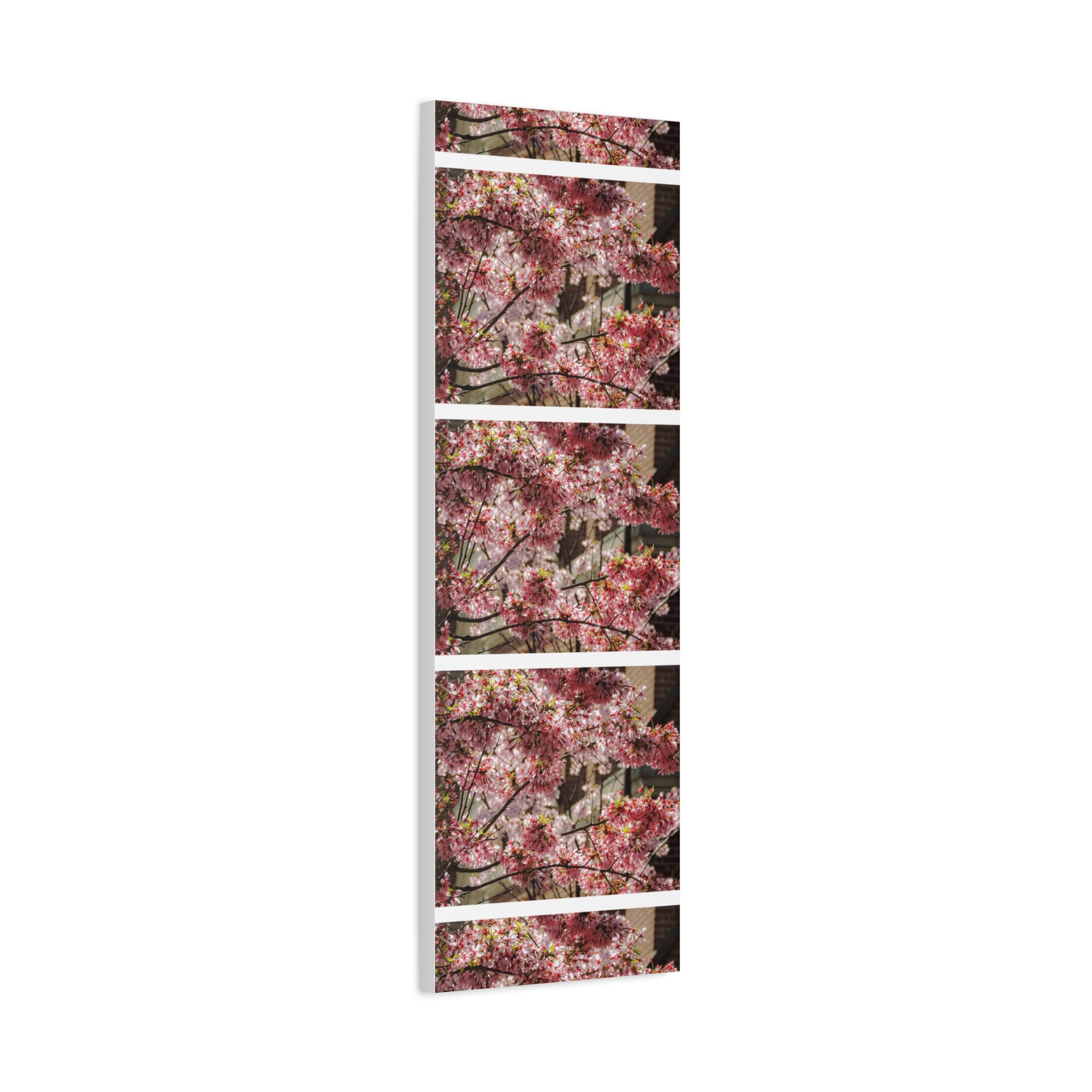 Pink Cherry Blossom Canvas Wall Art — Stretched Matte Floral Print