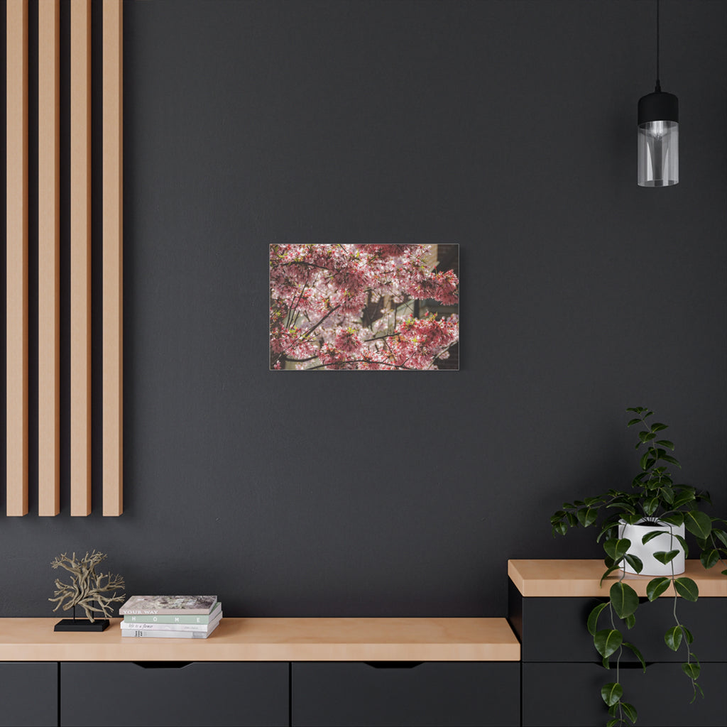 Pink Cherry Blossom Canvas Wall Art — Stretched Matte Floral Print