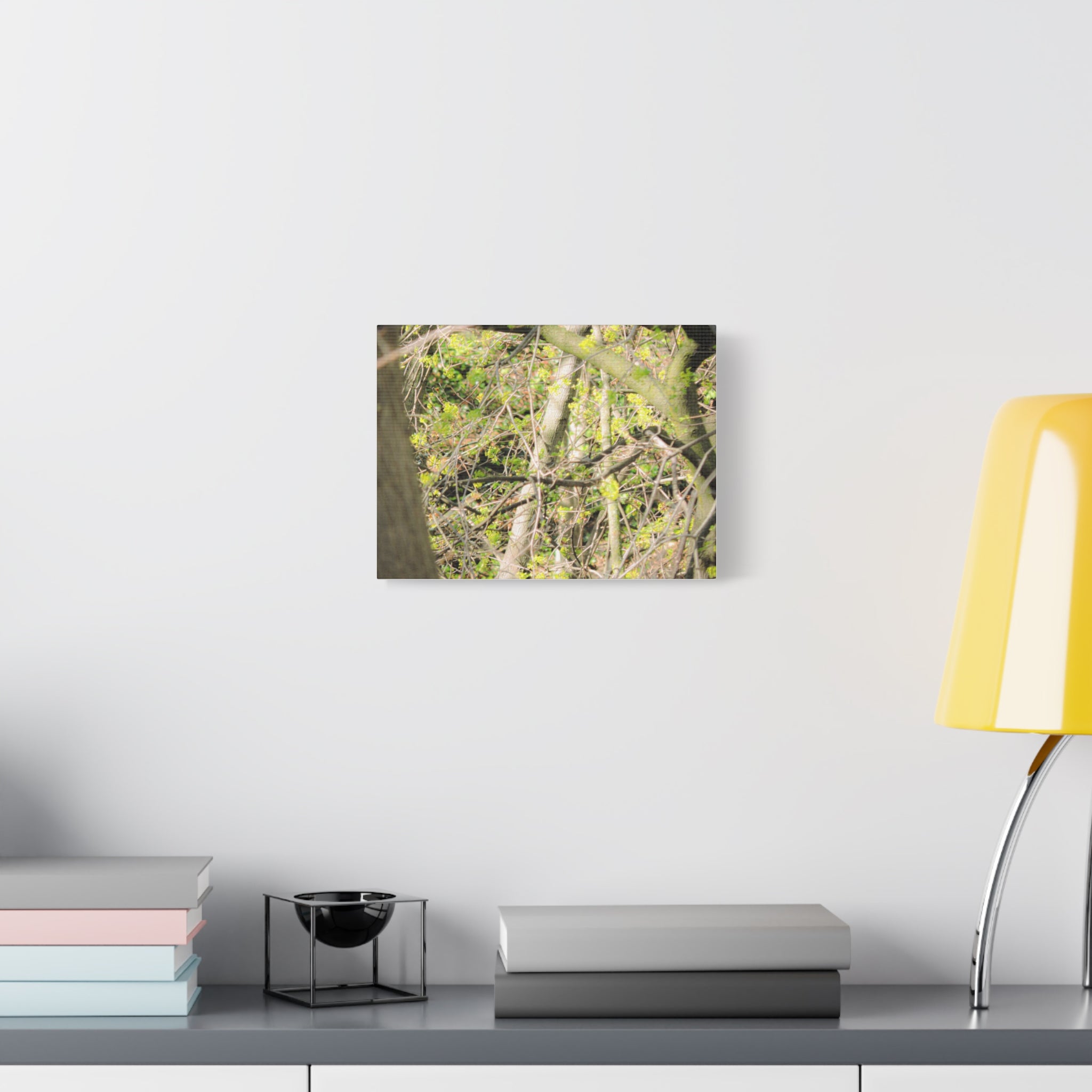 Spring Woodland Canvas Print — Green Tree Branches Matte Stretched Wall Art