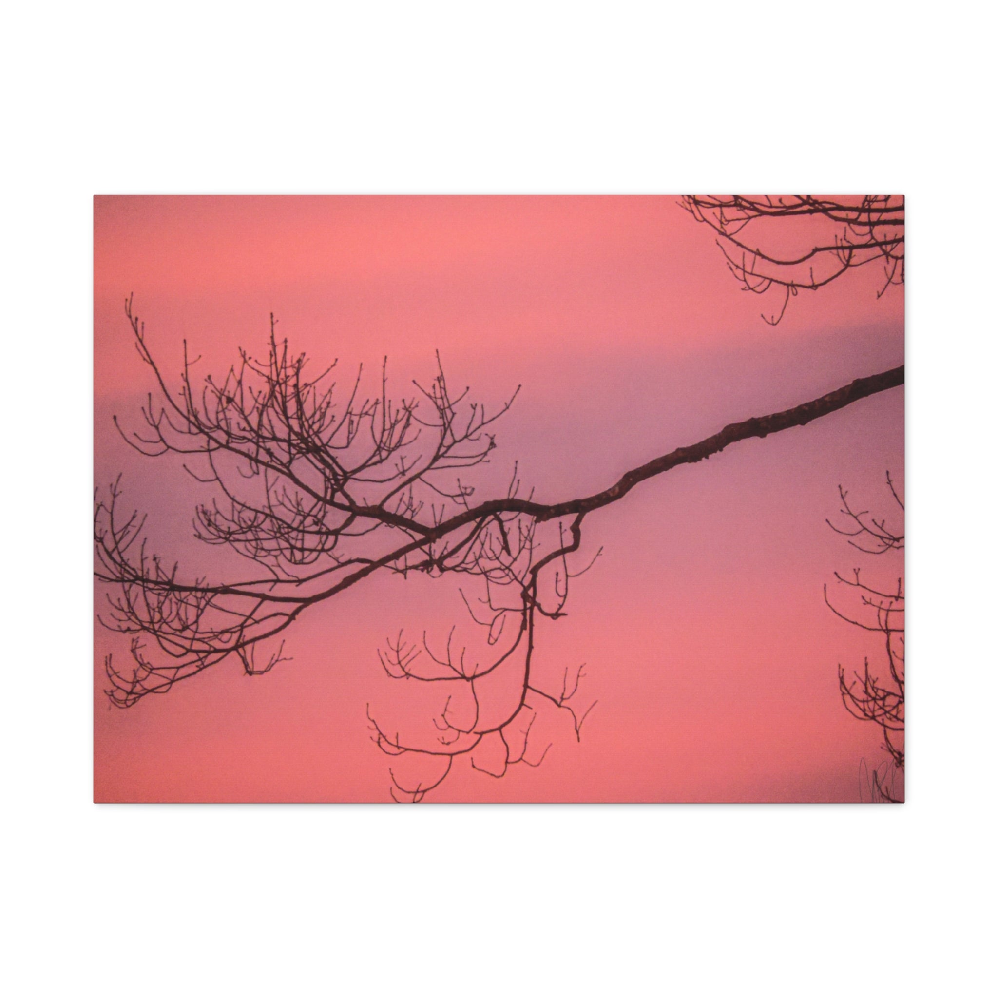 Pink Sunset Tree Canvas Print — Matte Stretched Wall Art