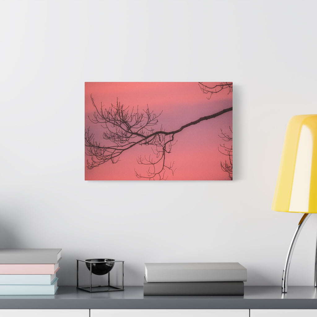Pink Sunset Tree Canvas Print — Matte Stretched Wall Art