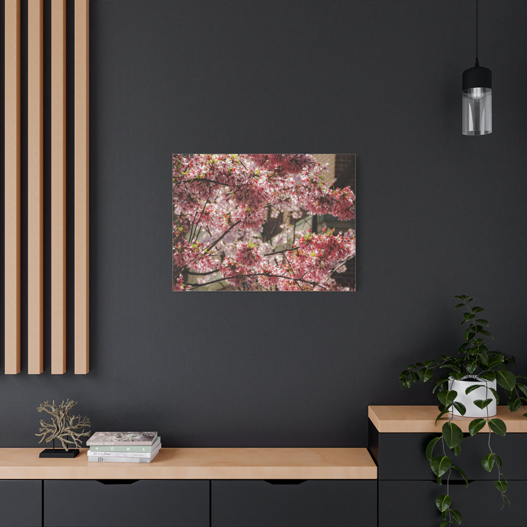 Pink Cherry Blossom Canvas Wall Art — Stretched Matte Floral Print