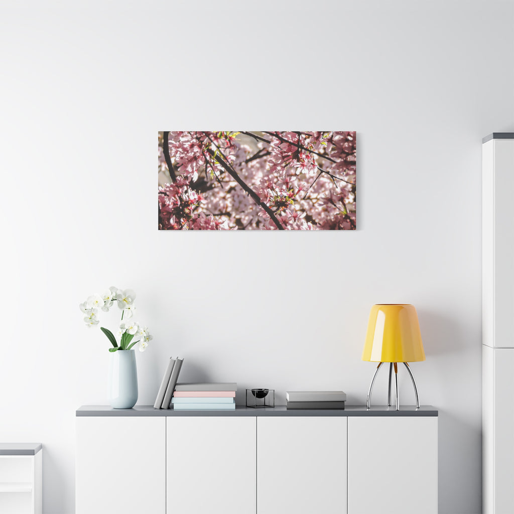 Blossom Cherry Tree Canvas Print – Matte Stretched Wall Art