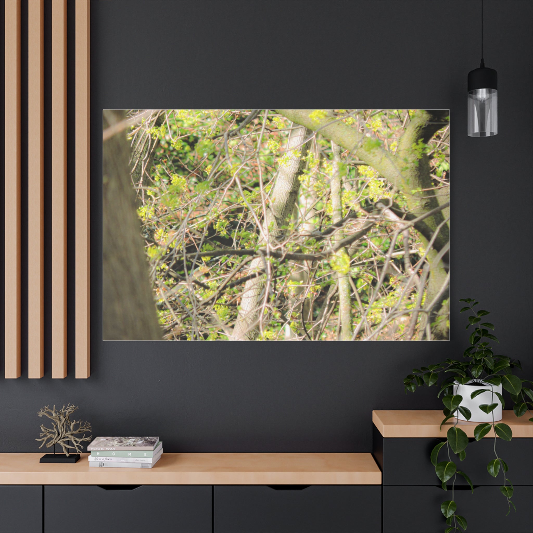 Spring Woodland Canvas Print — Green Tree Branches Matte Stretched Wall Art
