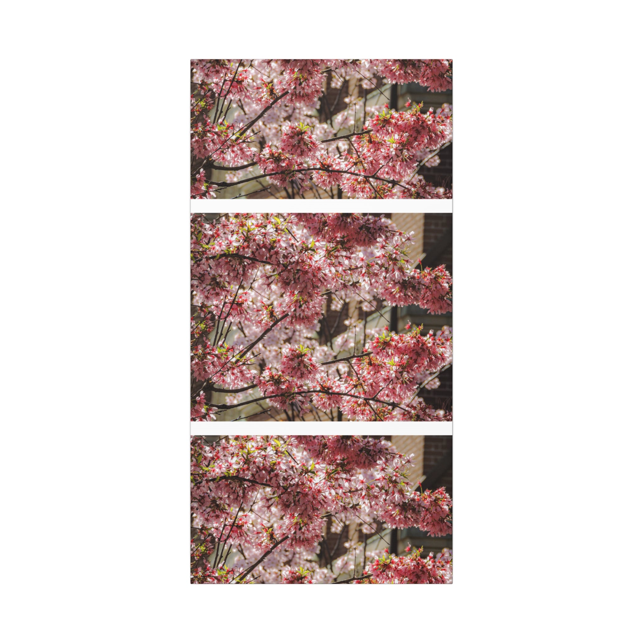 Pink Cherry Blossom Canvas Wall Art — Stretched Matte Floral Print
