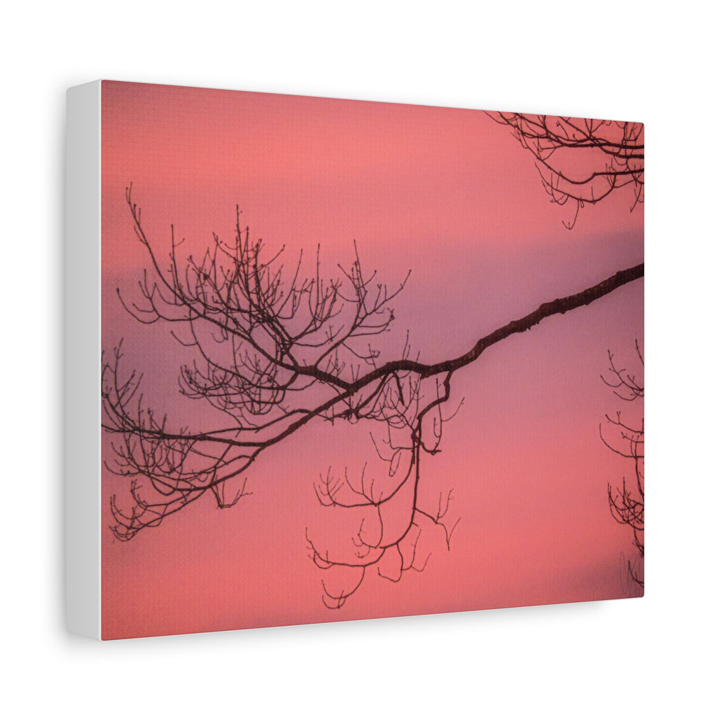 Pink Sunset Tree Canvas Print — Matte Stretched Wall Art