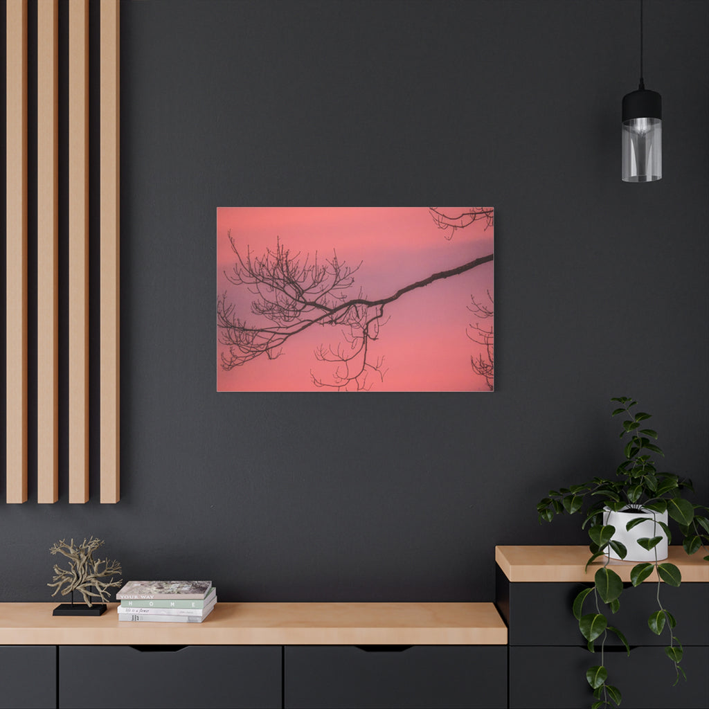 Pink Sunset Tree Canvas Print — Matte Stretched Wall Art