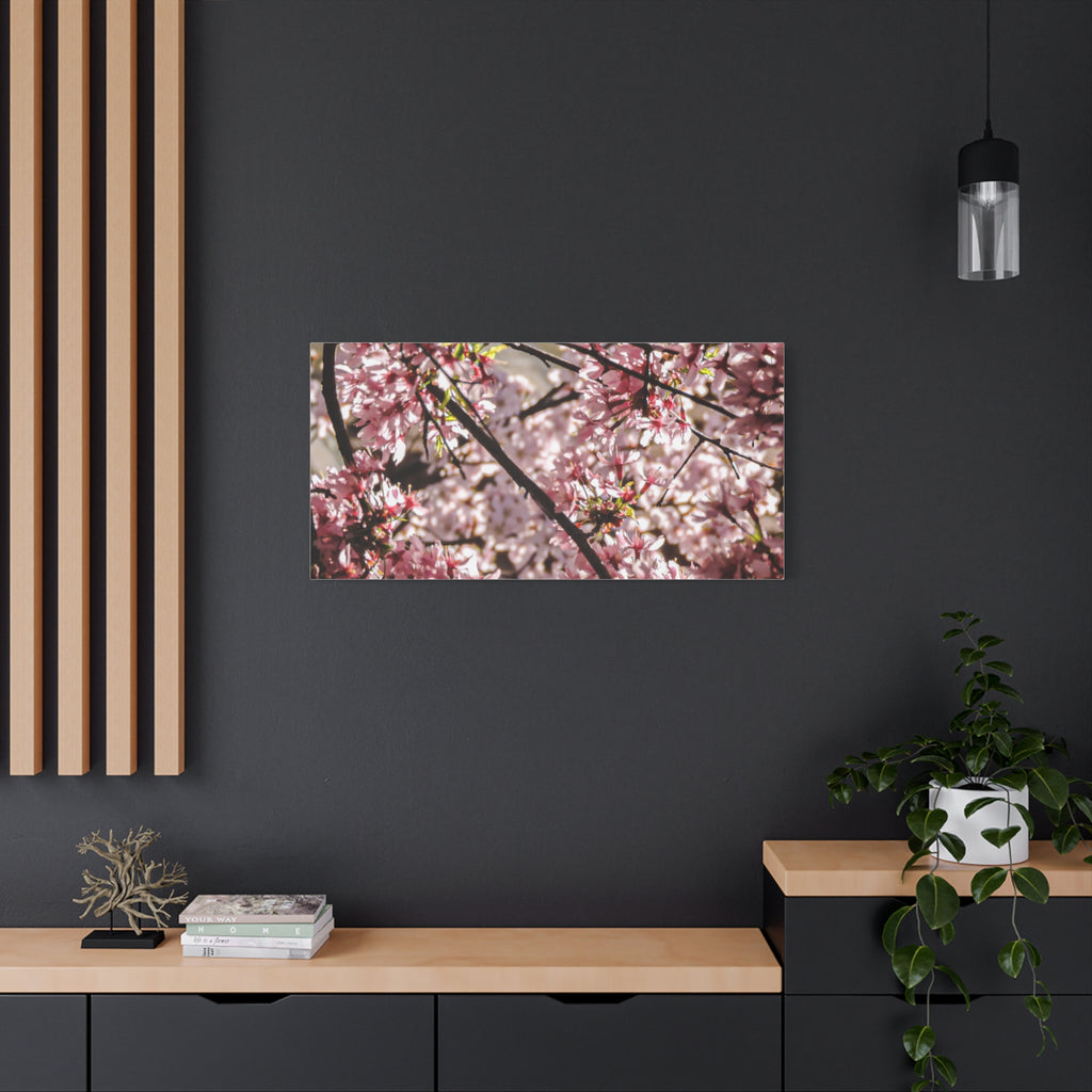 Blossom Cherry Tree Canvas Print – Matte Stretched Wall Art