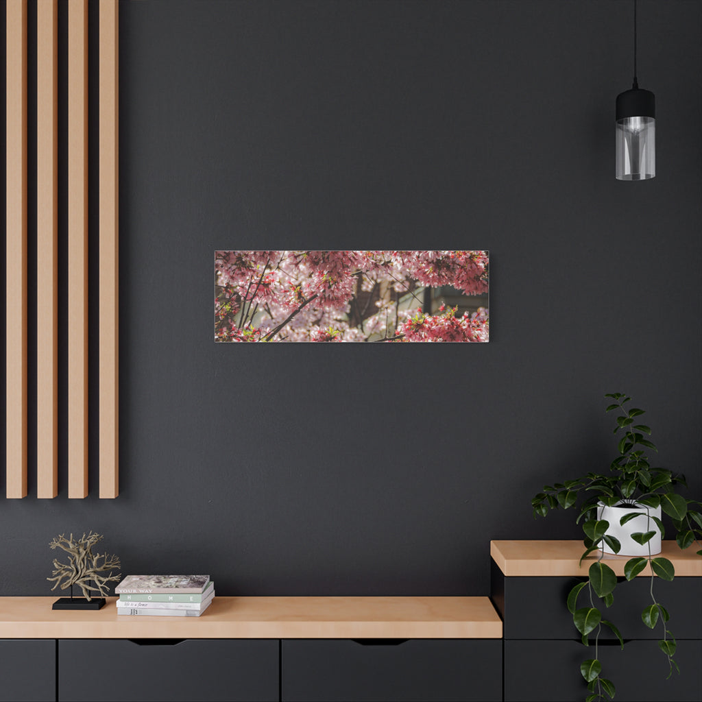 Pink Cherry Blossom Canvas Wall Art — Stretched Matte Floral Print