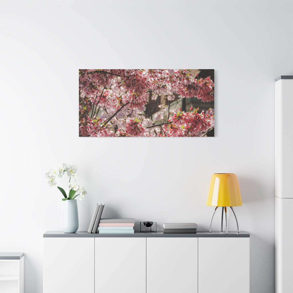 Pink Cherry Blossom Canvas Wall Art — Stretched Matte Floral Print