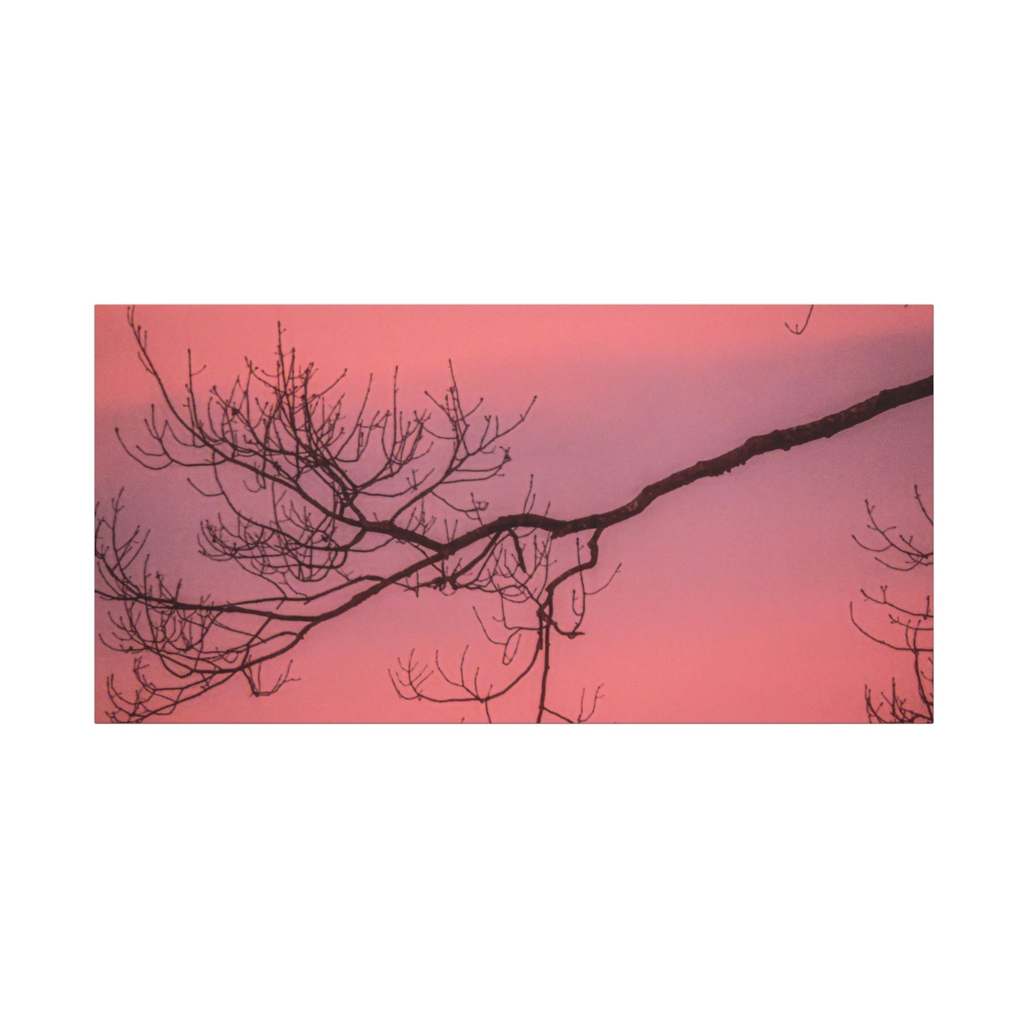 Pink Sunset Tree Canvas Print — Matte Stretched Wall Art