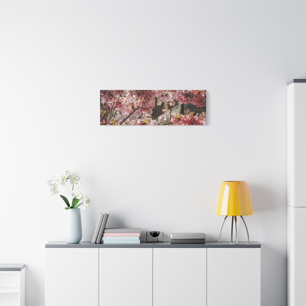 Pink Cherry Blossom Canvas Wall Art — Stretched Matte Floral Print