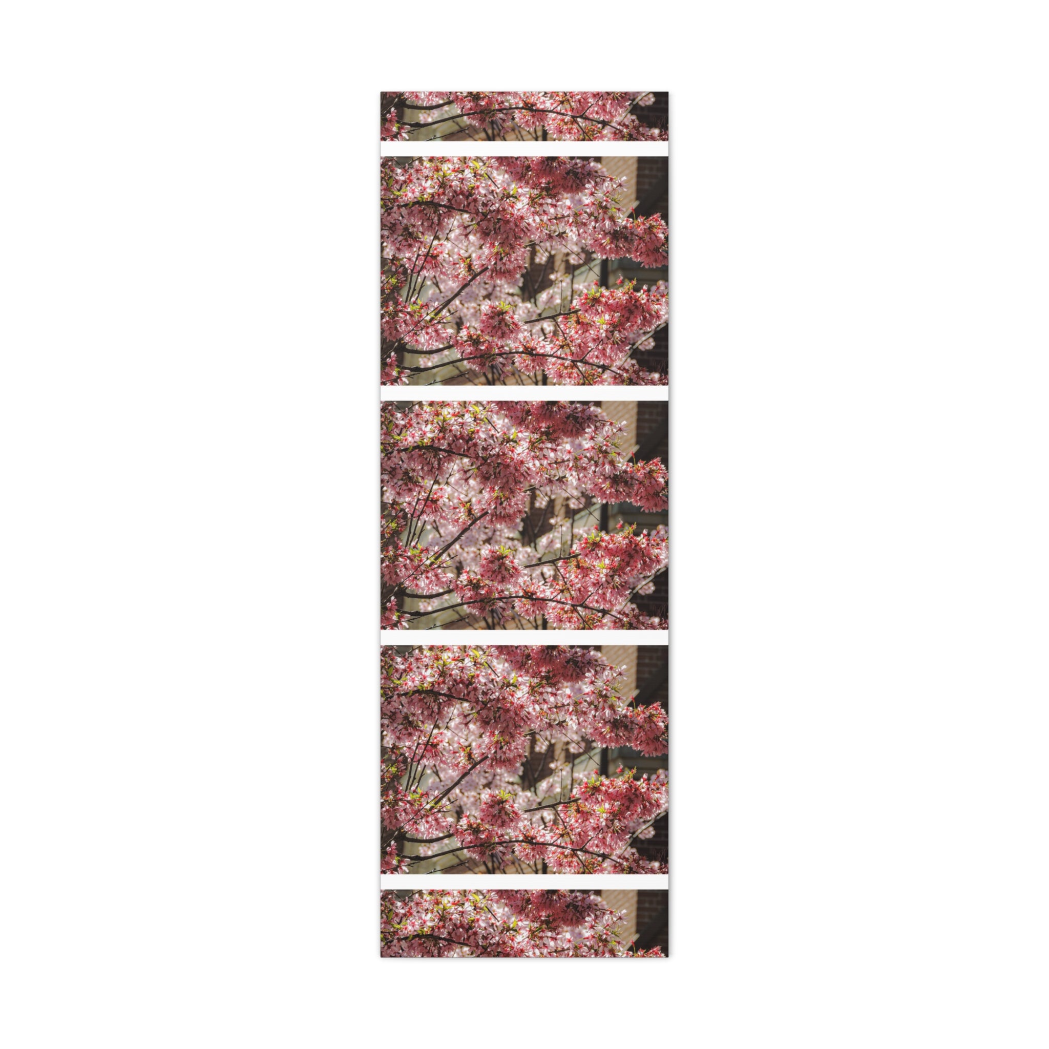 Pink Cherry Blossom Canvas Wall Art — Stretched Matte Floral Print