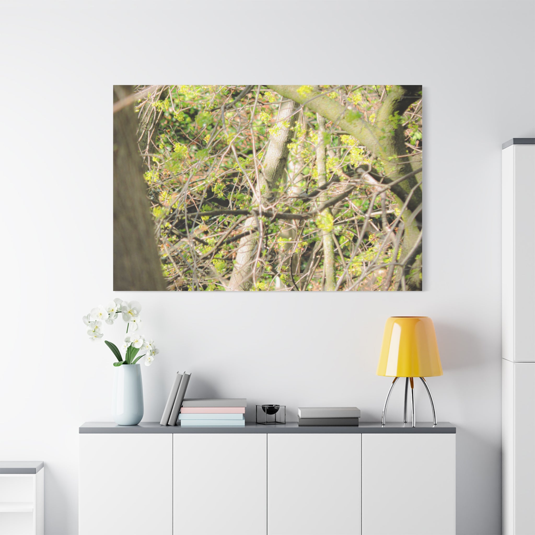 Spring Woodland Canvas Print — Green Tree Branches Matte Stretched Wall Art