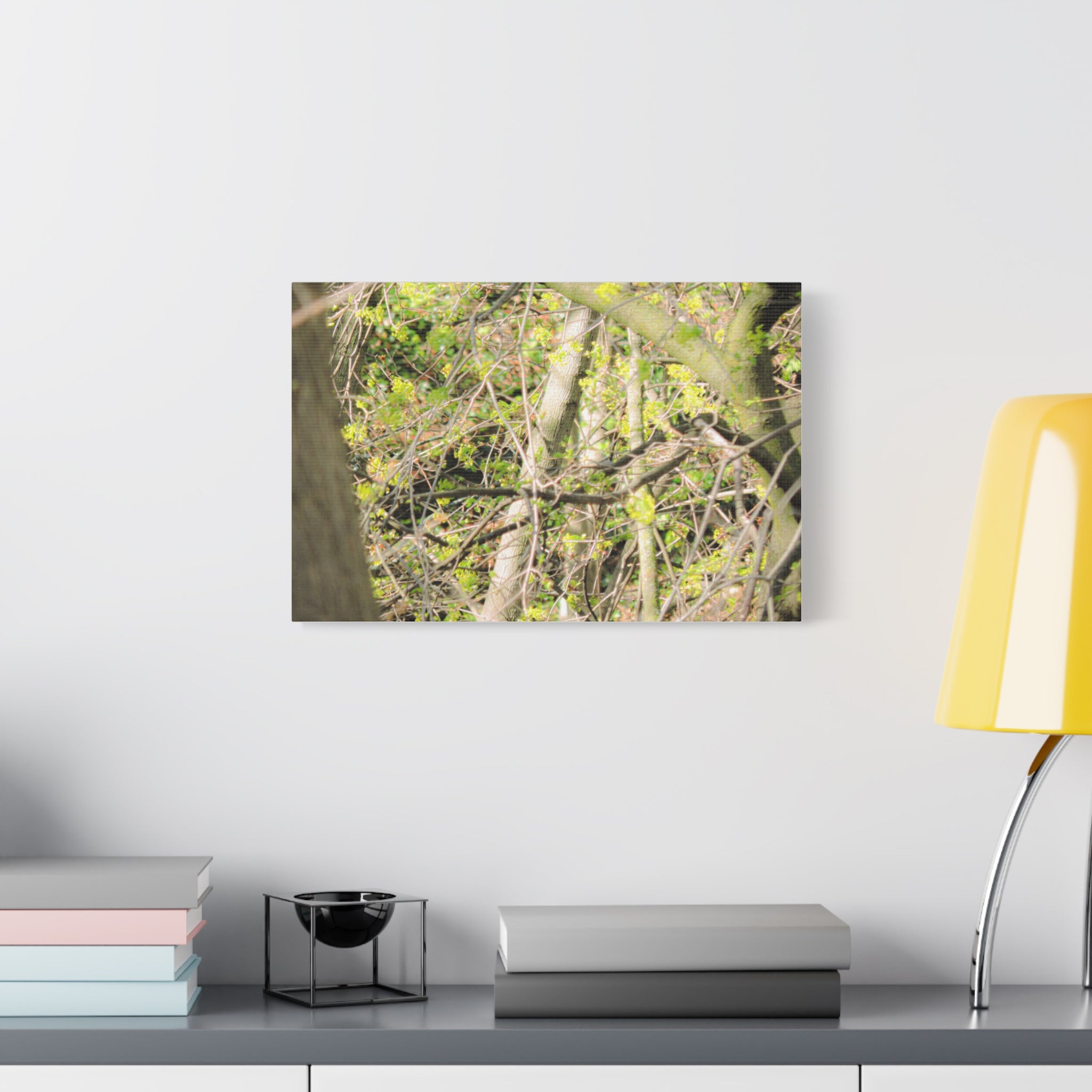 Spring Woodland Canvas Print — Green Tree Branches Matte Stretched Wall Art