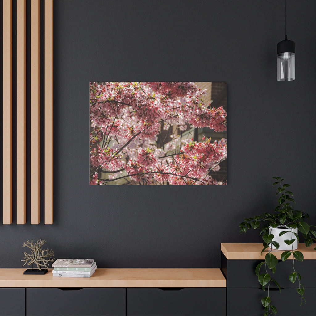 Pink Cherry Blossom Canvas Wall Art — Stretched Matte Floral Print