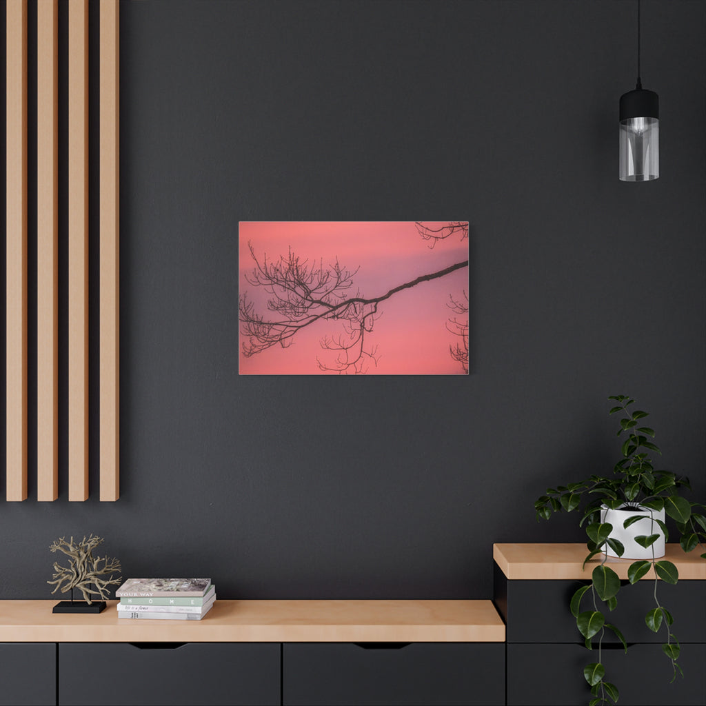 Pink Sunset Tree Canvas Print — Matte Stretched Wall Art