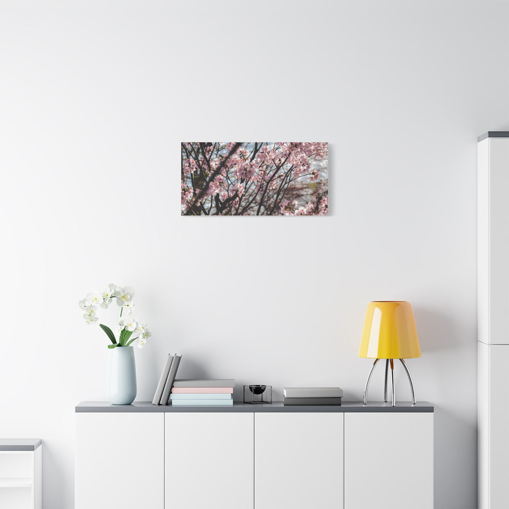Cherry Blossom Canvas Print — Matte Stretched Wall Art